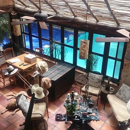 Jungle Lodge Cancun Aeropuerto